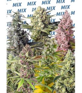 SWEET SEEDS - SWEET MIX