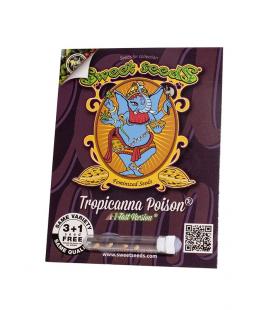 SWEET SEEDS - TROPICANNA POISON FEM - F1 FAST VERSION