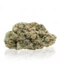 Lemon Tonik indoor