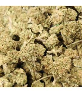 Popcorn Buds indoor