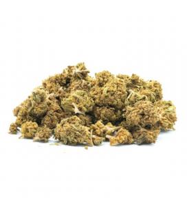 Popcorn Buds indoor