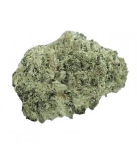 L.A. SPECIAL indoor