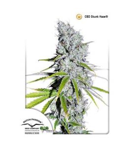 DUTCH PASSION - CBD SKUNK HAZE FEM