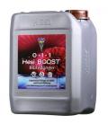 HESI - BOOST - 10L