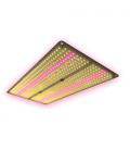 THE JUNGLE - THE JACKSON NEMESIS - DIMMABLE 250W
