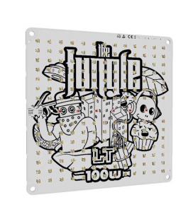 THE JUNGLE - QUANTUM BOARD - THE JACKSON LT 150W