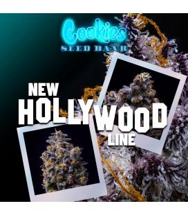 COOKIES SEED BANK - GMO X HOLLYWOOD FEM