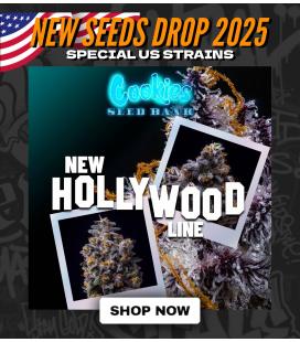 COOKIES SEED BANK - CHERRY ZELATO FEM