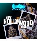 COOKIES SEED BANK - RS11 X HOLLYWOOD FEM