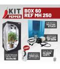 KIT PEPPER - BOX 60 - REF MH 250