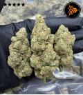 Runtz batch 2026 High Quality Hemp Flower