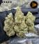 Runtz batch 2026 High Quality Hemp Flower