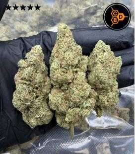 Runtz batch 2026 High Quality Hemp Flower