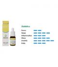 ALBEDO FARMACEUTICA - CBD OIL 30% - 10ML