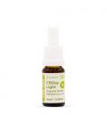 ENECTA - CBDAY LIGHT CBD OIL - 10ML - 500MG CBD (5%)