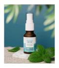 HARMONY - CBD SPRAY OIL 15ML - MINT - 500MG