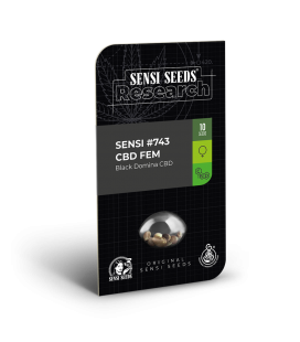 SENSI SEEDS - SENSI 743 CBD FEM