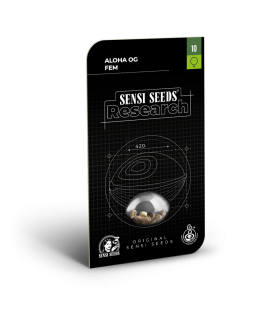 SENSI SEEDS - SENSI 1318 CBD FEM -