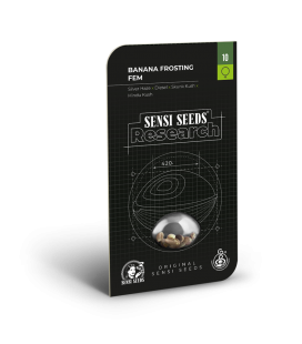 SENSI SEEDS - SENSI 1318 CBD FEM -