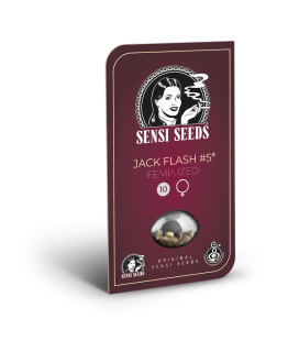SENSI SEEDS - JACK FLASH 5 FEM