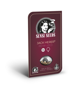 SENSI SEEDS - JACK HERER FEM - REDUX SERIES