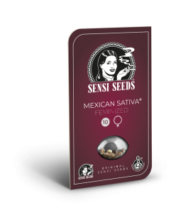 SENSI SEEDS - MEXICAN SATIVA FEM - REDUX SERIES