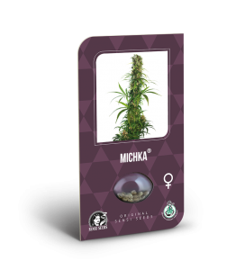 SENSI SEEDS - MICHKA FEM