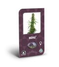 SENSI SEEDS - MICHKA FEM - LIMITED EDITION