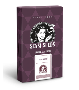 SENSI SEEDS - SENSI AMNESIA