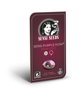 SENSI SEEDS - SENSI AMNESIA