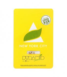 PYRAMID SEEDS - NEW YORK CITY FEM