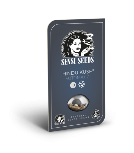 SENSI SEEDS - HINDU KUSH AUTO