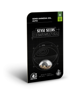 SENSI SEEDS - SENSI AMNESIA XXL AUTO