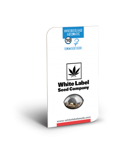 WHITE LABEL - WHITE DIESEL HAZE AUTO