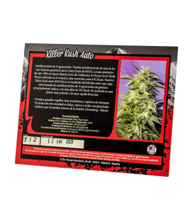 SWEET SEEDS - KILLER KUSH AUTO