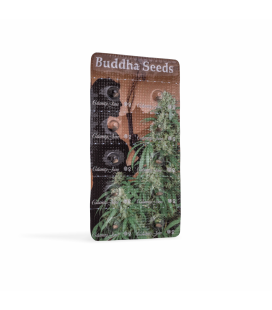 BUDDHA SEEDS - CALAMITY JANE AUTO