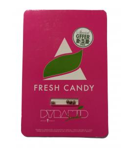 PYRAMID SEEDS - FRESH CANDY FEM