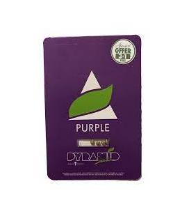 PYRAMID SEEDS - PURPLE FEM