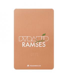PYRAMID SEEDS - RAMSES FEM