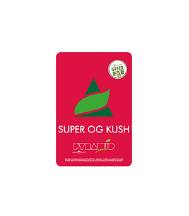 PYRAMID SEEDS - SUPER OG KUSH FEM