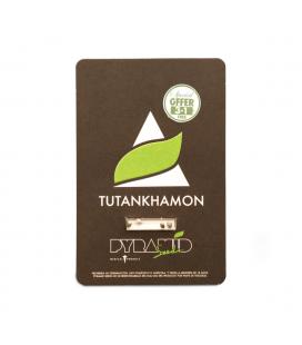 PYRAMID SEEDS - TUTANKHAMON FEM