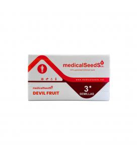 MEDICAL SEEDS - DEVIL FRUIT FEM