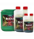 CANNA BOOST ACCELERATOR