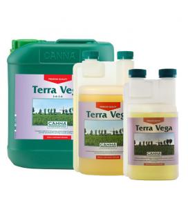 CANNA TERRA VEGA