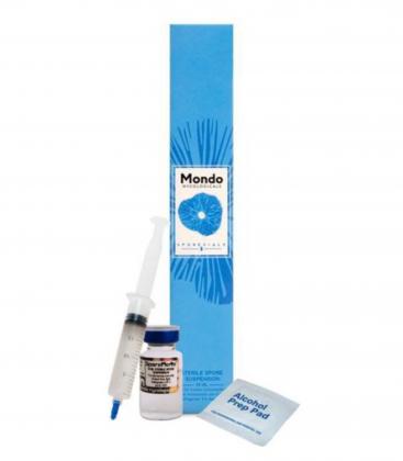 Golden Teacher Spore Vial (10ml)