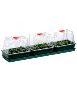 GARLAND - AIRED MINI GROW BOX - RIGID SMALL 17X10X11 - 3 PIECES SET - G85X3