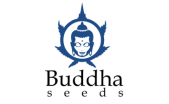 Buddha Seeds