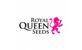 Royal queen seeds