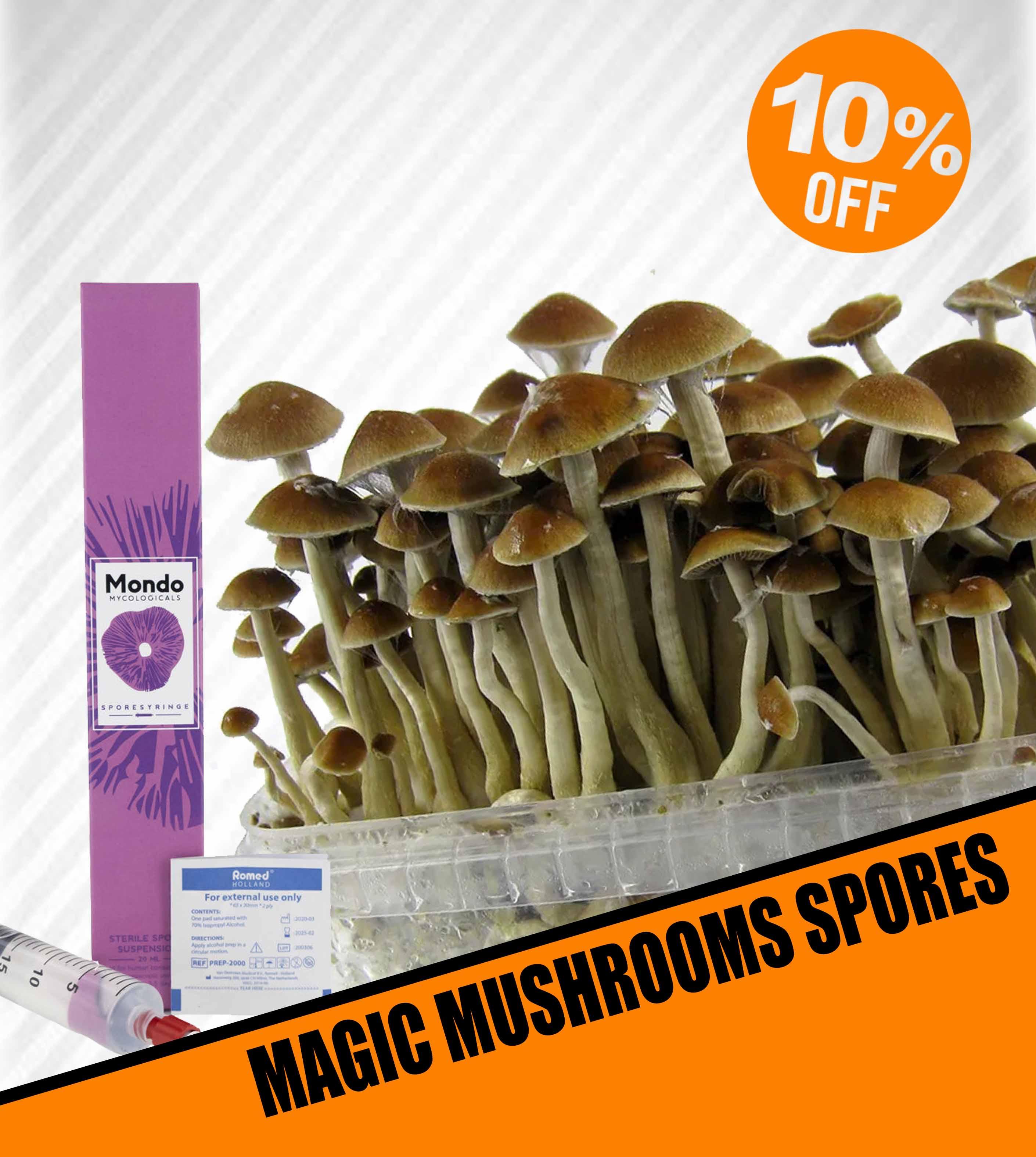 Magic mushrooms spores