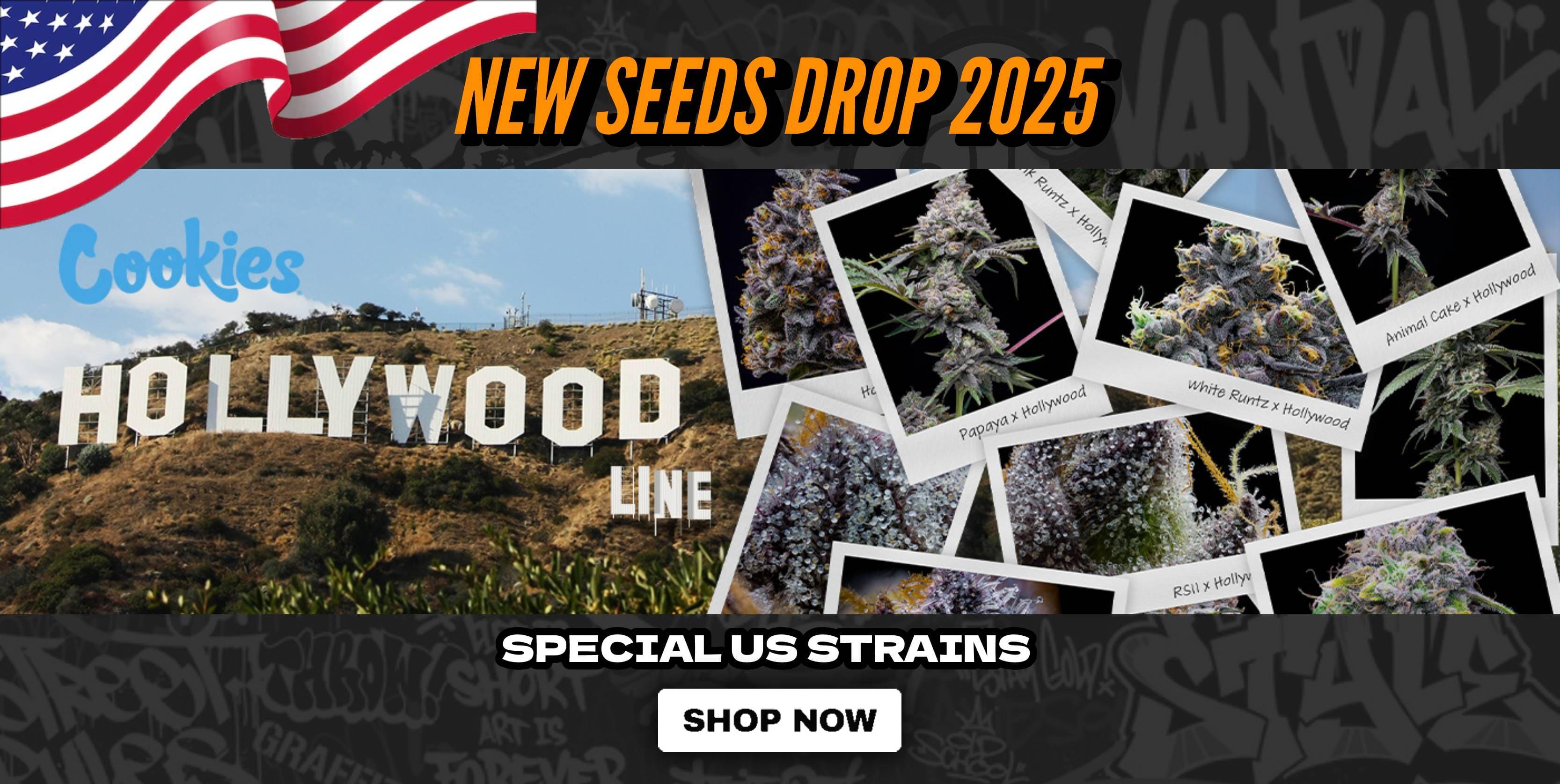 Cookies Cannabis seeds - Import from U.S.A.